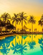 palm trees, beach, summer
